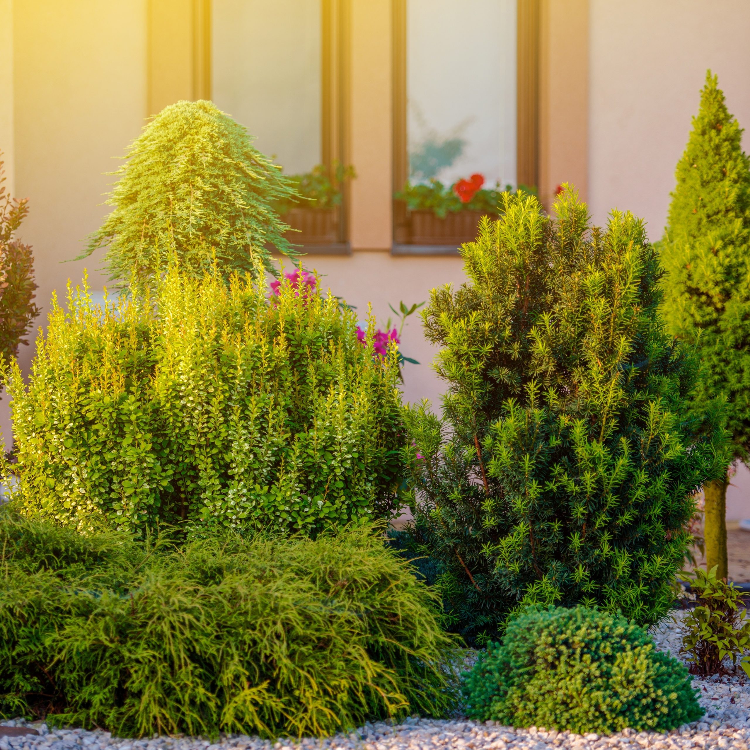 Beautiful Home Garden. Rockery Garden in Front of the House.