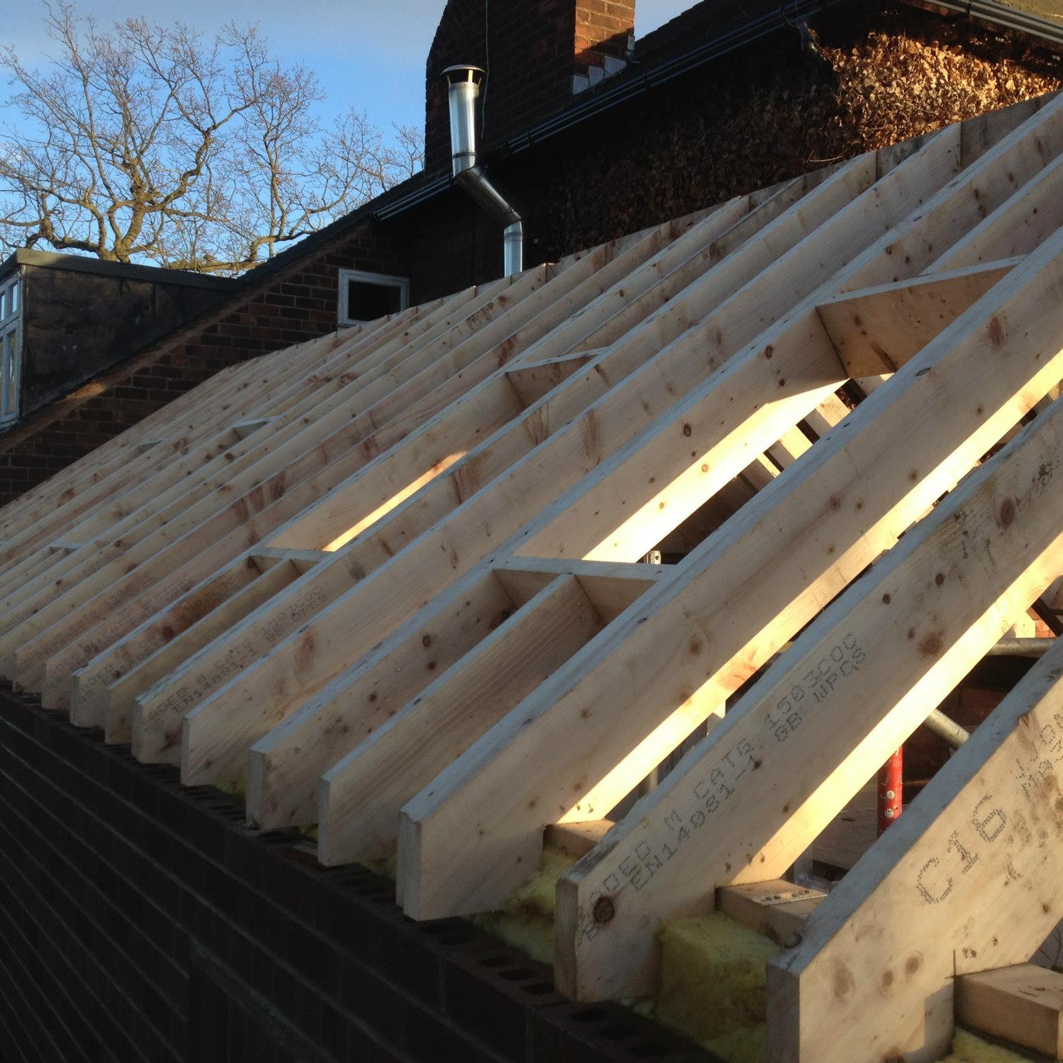 Ardenlea Renovations