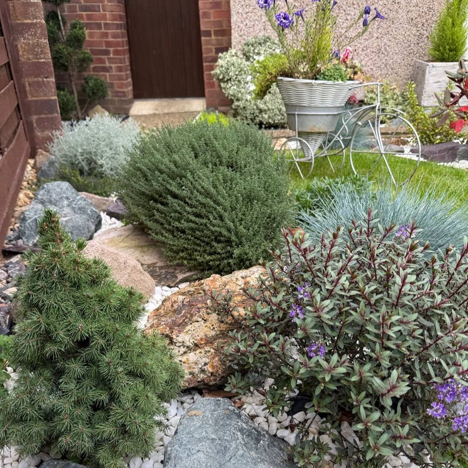 photo_18_2025-10-17_12-37-23