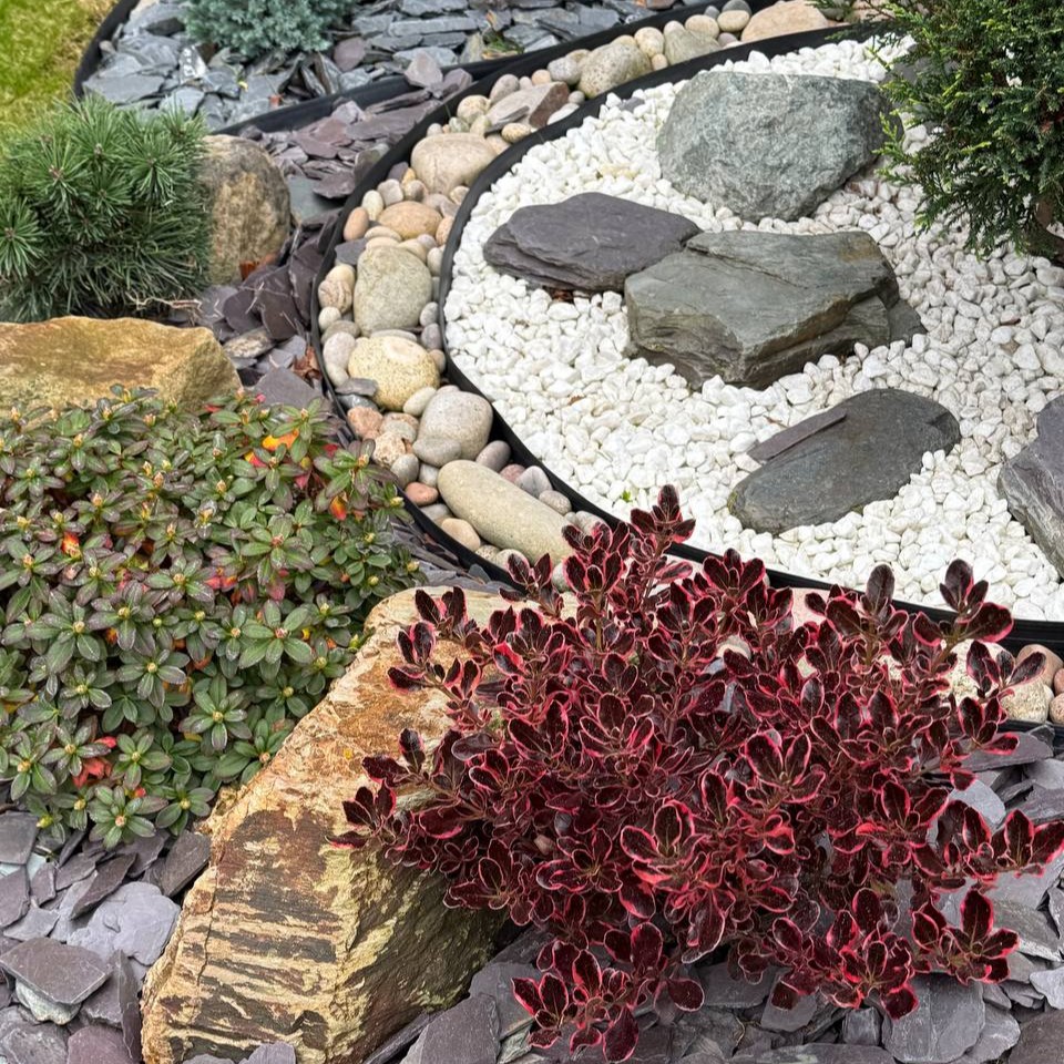 photo_21_2025-10-17_12-37-23