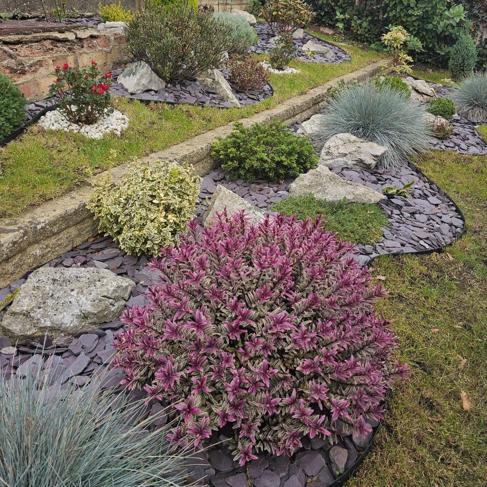 photo_5_2025-10-17_13-17-49